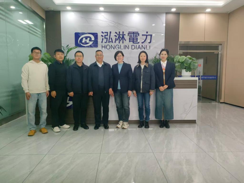 泓淋电力.jpg
